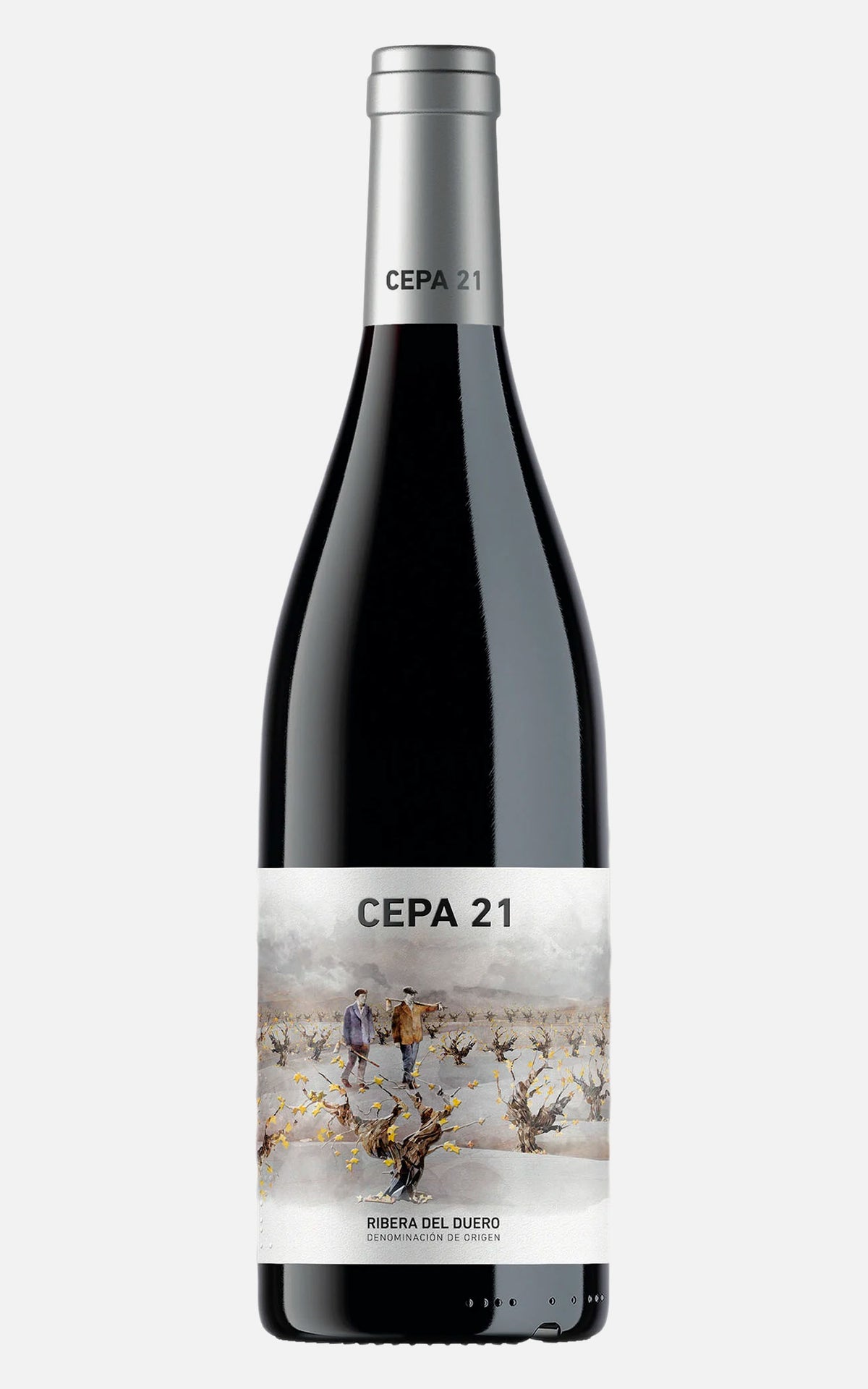 CEPA 21 2021