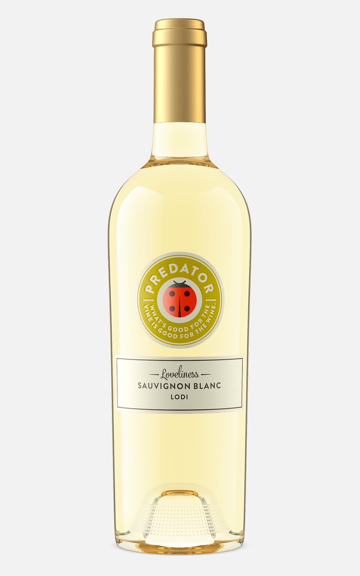 Predator Sauvignon Blanc 2024
