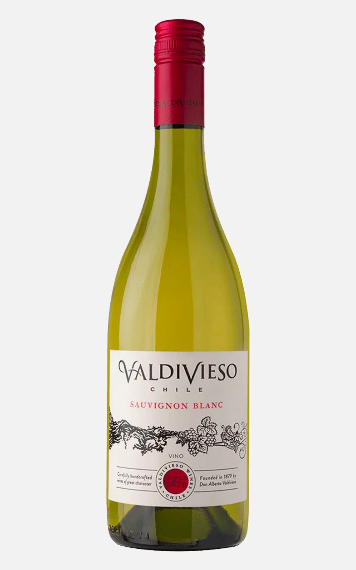 Valdivieso Clasico Sauvignon Blanc 2024