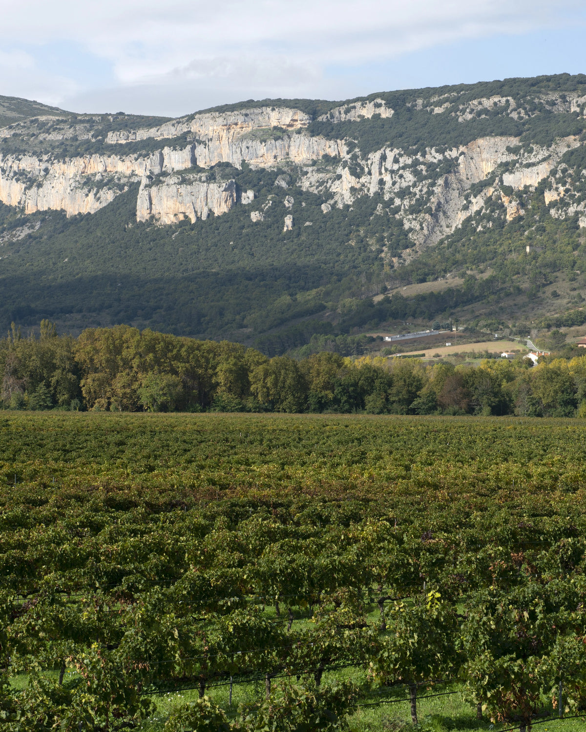 Pago de Otazu estate below the Sierra del Sarbil, Navarra