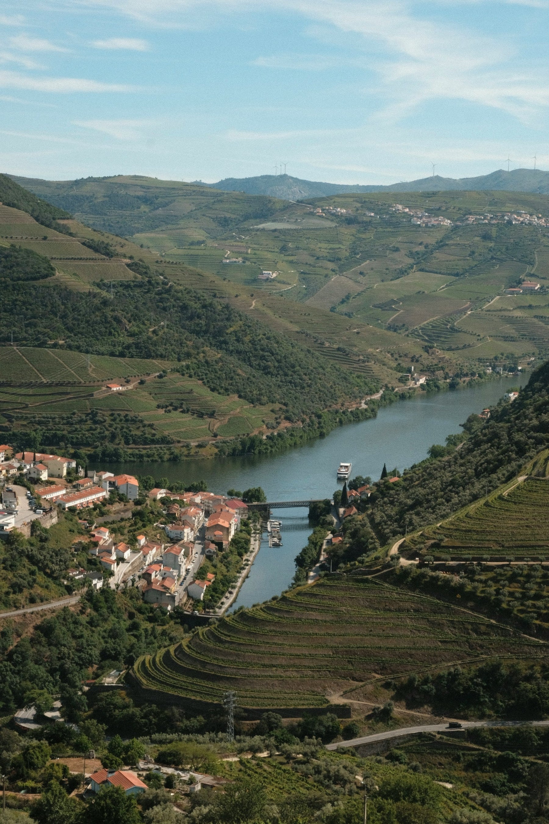 Douro reds, explained