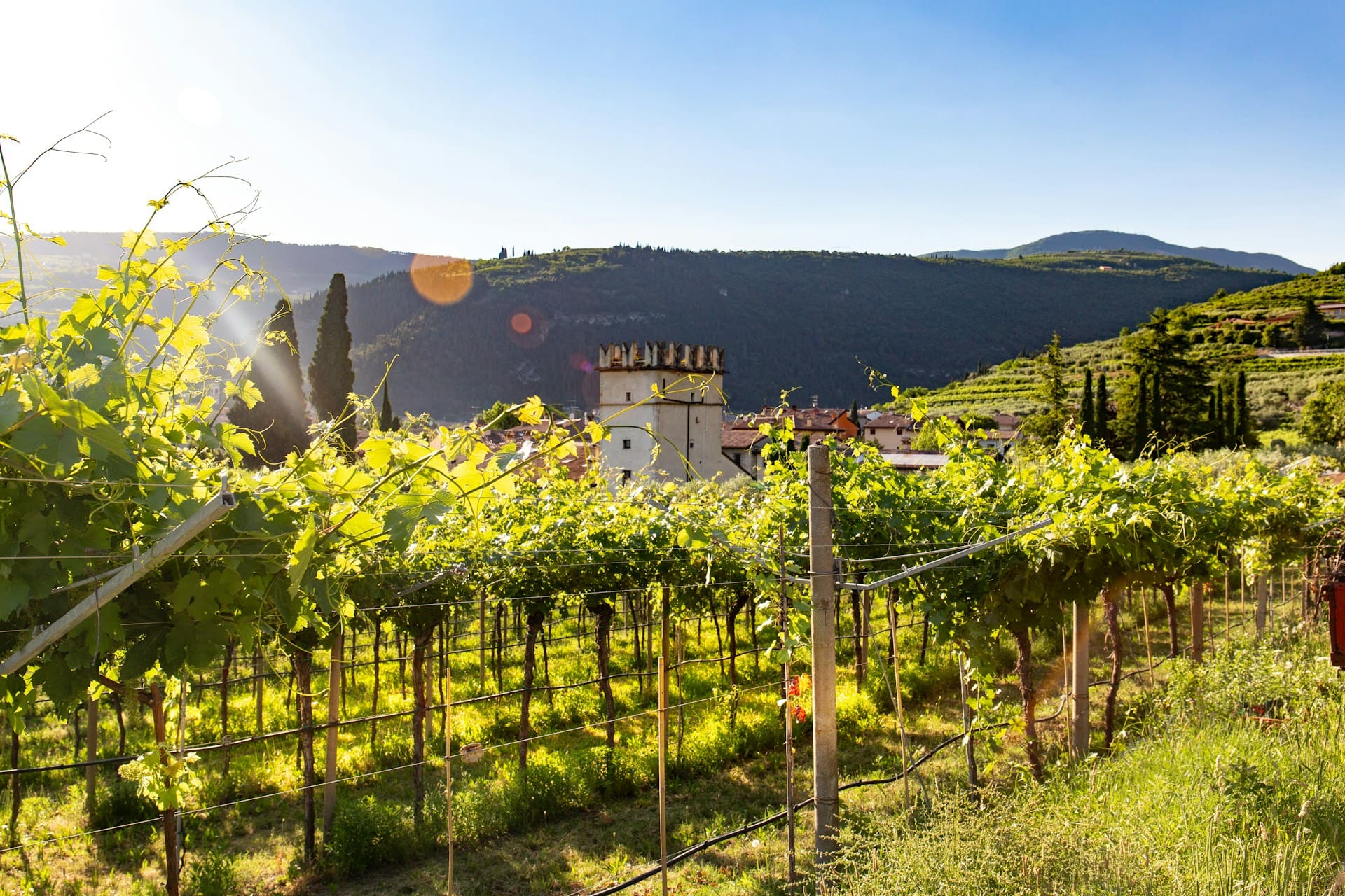 Italy