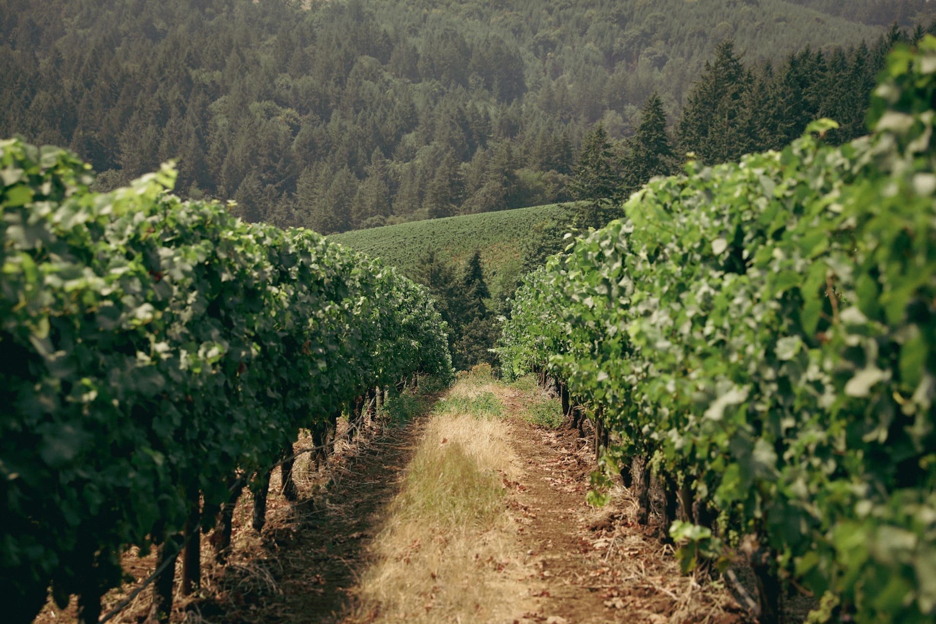 Oregon