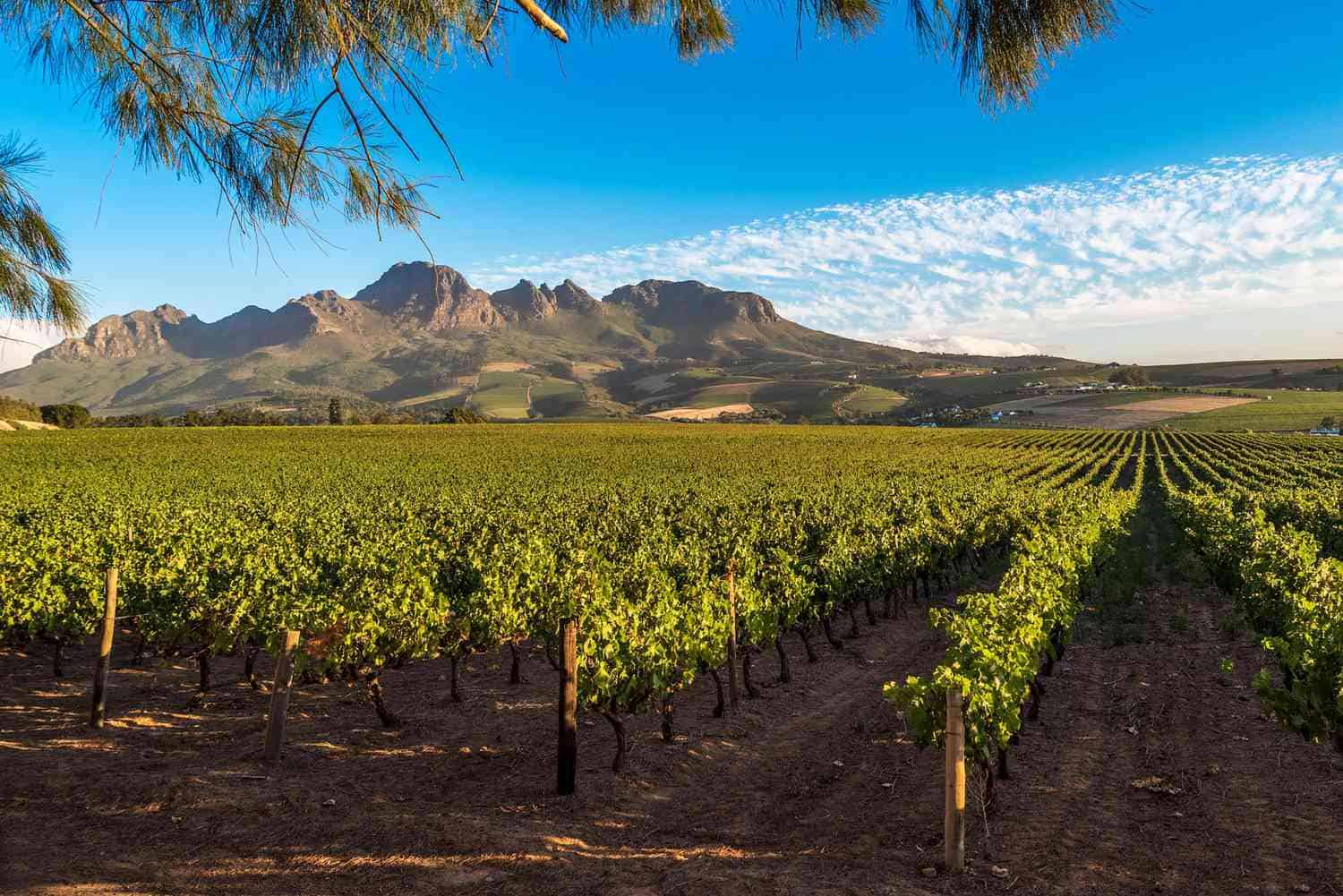 South Africa