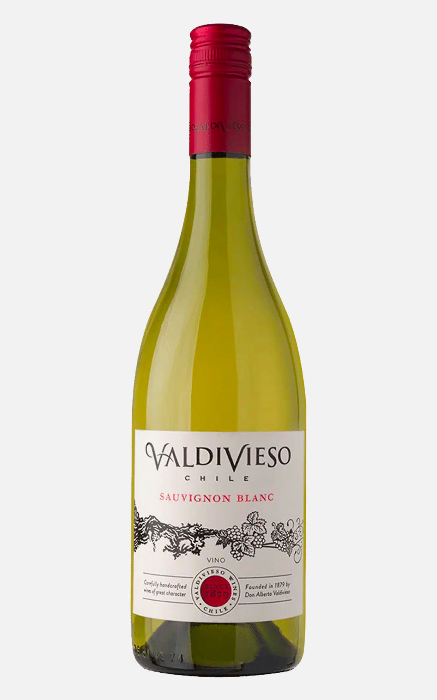 Valdivieso Clasico Sauvignon Blanc 2024