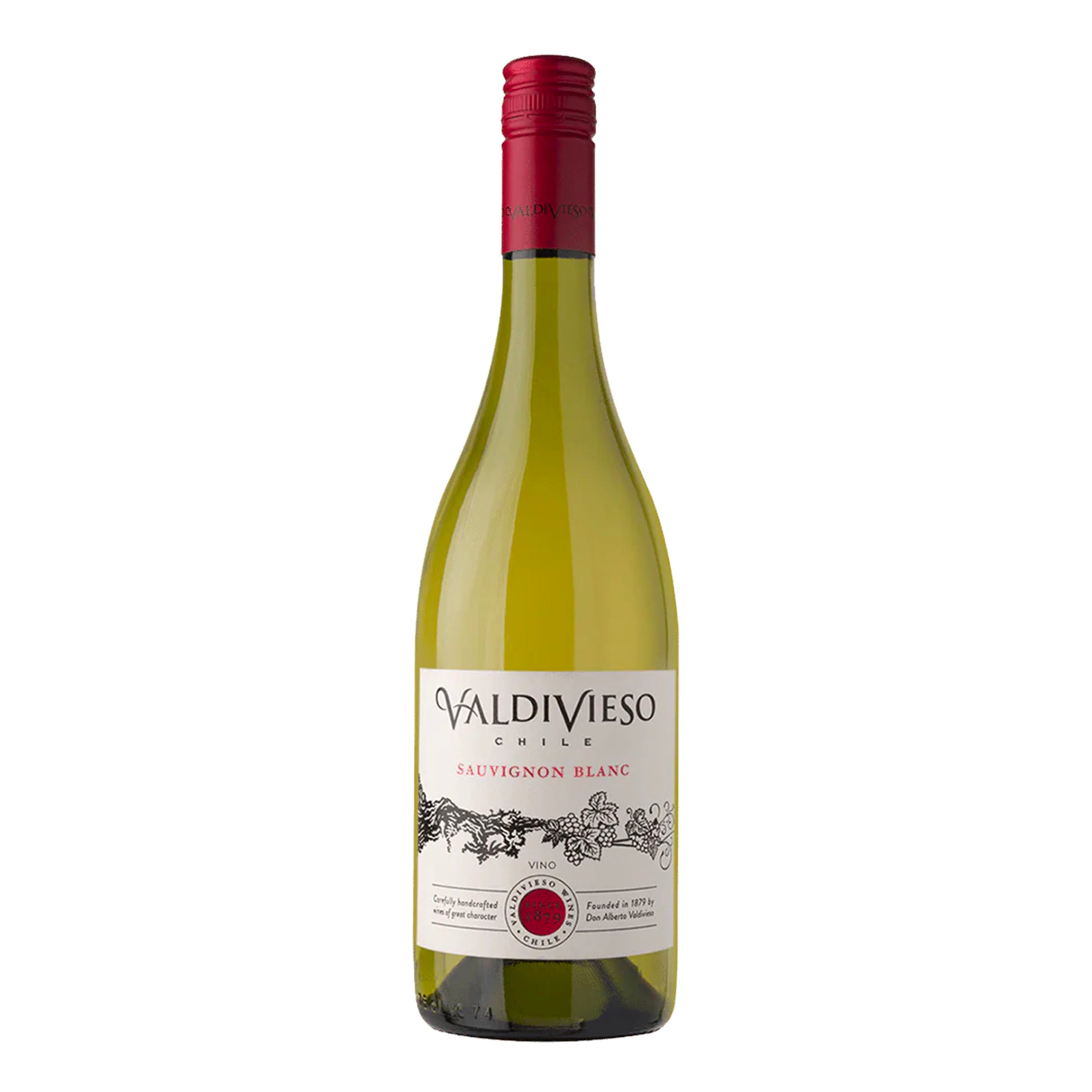Valdivieso Clasico Sauvignon Blanc 2024