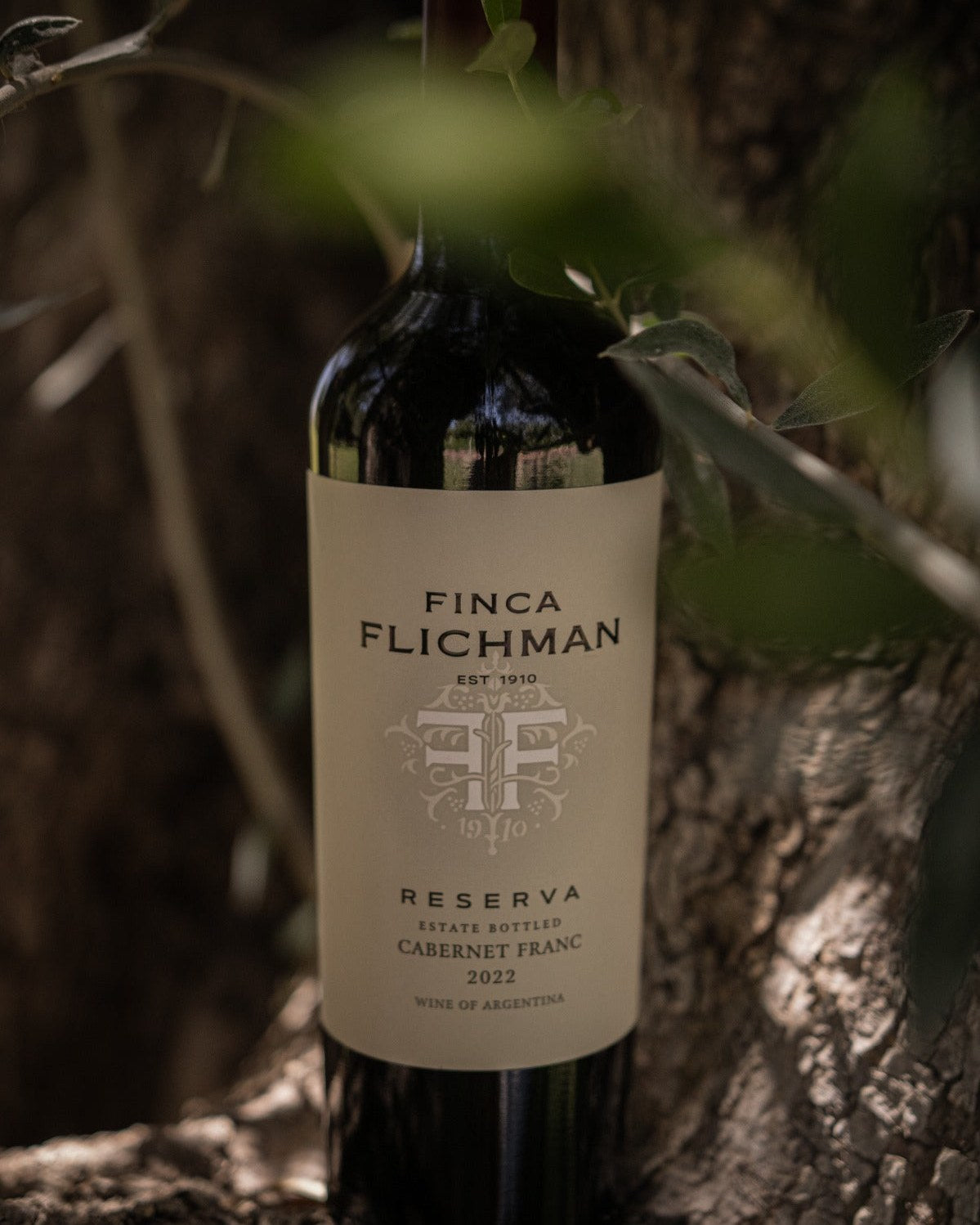 Finca Flichman Reserva Cabernet Franc in the vineyard