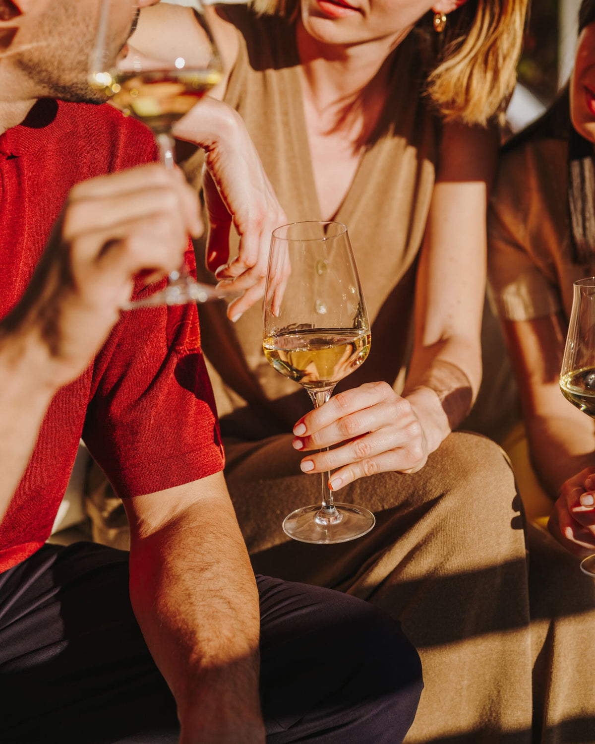 Friends sharing glasses of LAN Verdejo