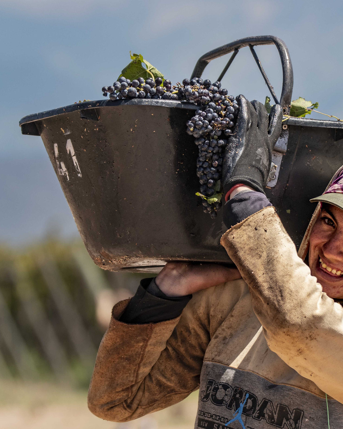 Harvest in the Famatina Valley at Valle de la Puerta